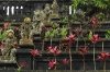 3-bali-tour33